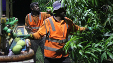 Working at Night to Avoid Heat