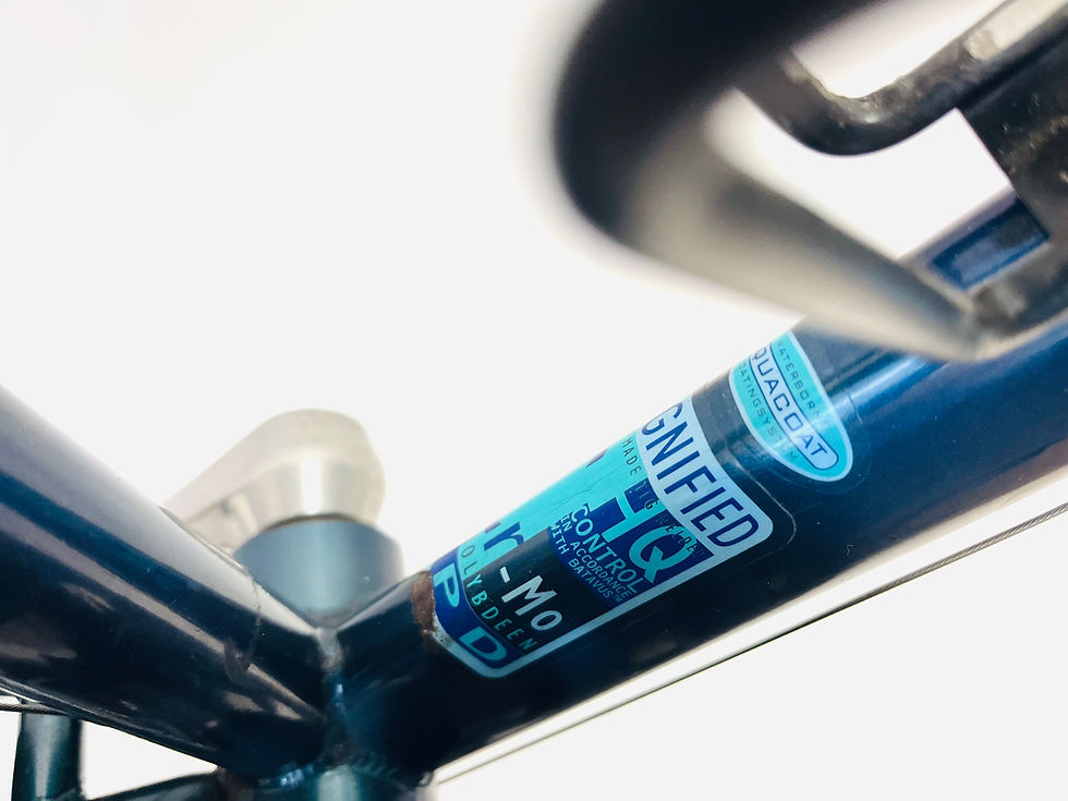 Thumbnail: Batavus CX Light size 58