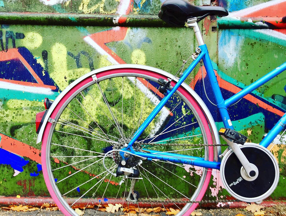 Thumbnail: Custom ninetees Raleigh (verkocht)