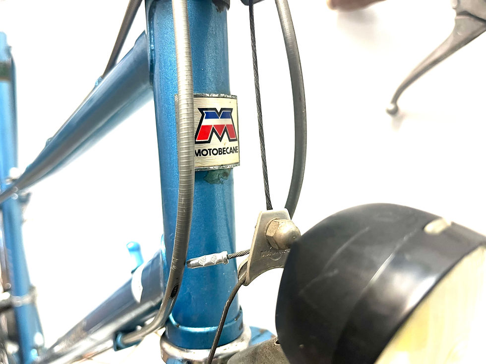 Thumbnail: Motobecane Mixte size 54