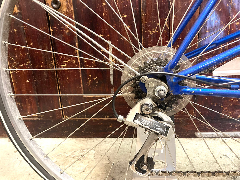 Thumbnail: Allegro Puch mixte (verkocht)