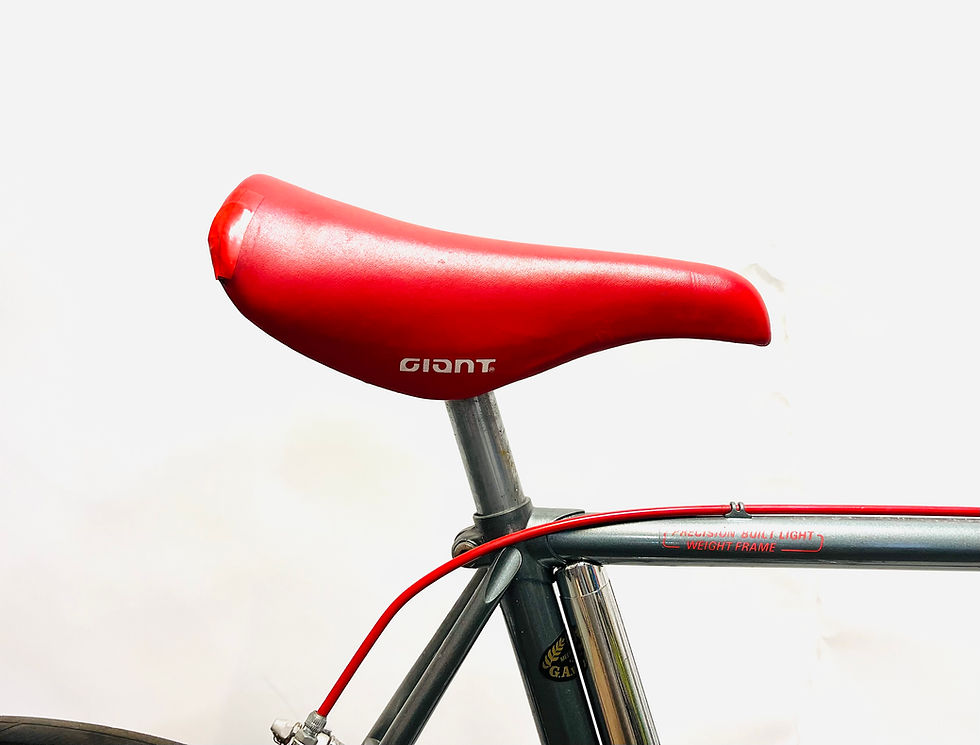 Thumbnail: Giant Pacer size 54
