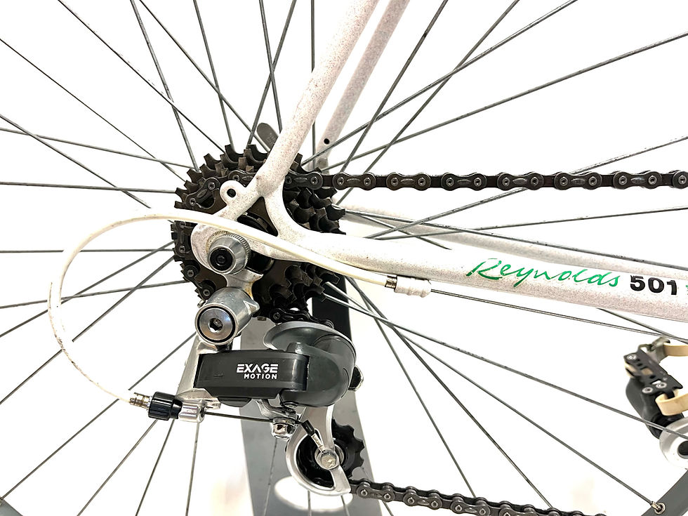 Thumbnail: Raleigh Elan 501 size 58
