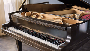 Discover the Best Piano Songs and Books Collection