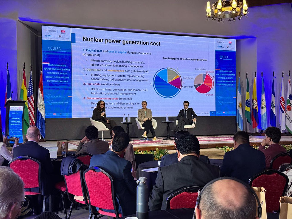 Antonio Vaya Soler in Paraguay to speak at "Regional Meeting on Small ModularReactor (SMR) Technology Insights & Economics and Financing of Nuclear Projects” organized by the IAEA