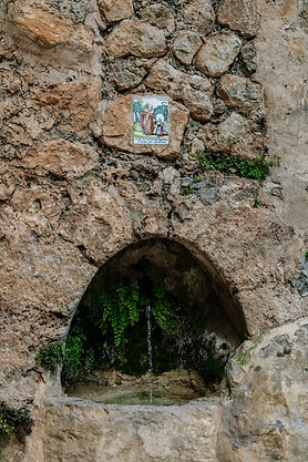 DSC03937 © GRIMALT DE BLANCH_DESKTOP-BPP2DOI_feb.-26-112505-2025_Conflict - si desea vende