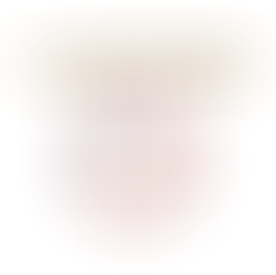 les zones de la matrice