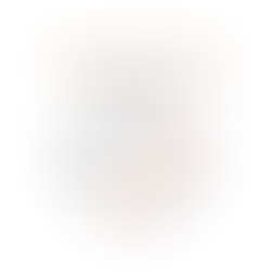 les zones de la matrice