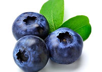 blueberry.jpg