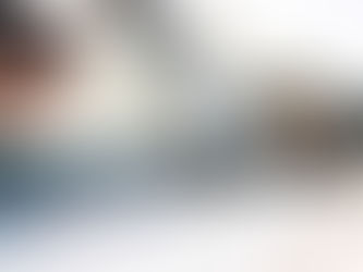 10  Consejos para nuestros peluditos en vacaciones