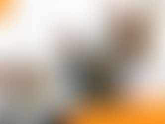 Consejos para viajar con tu perro en estas vacaciones de Verano