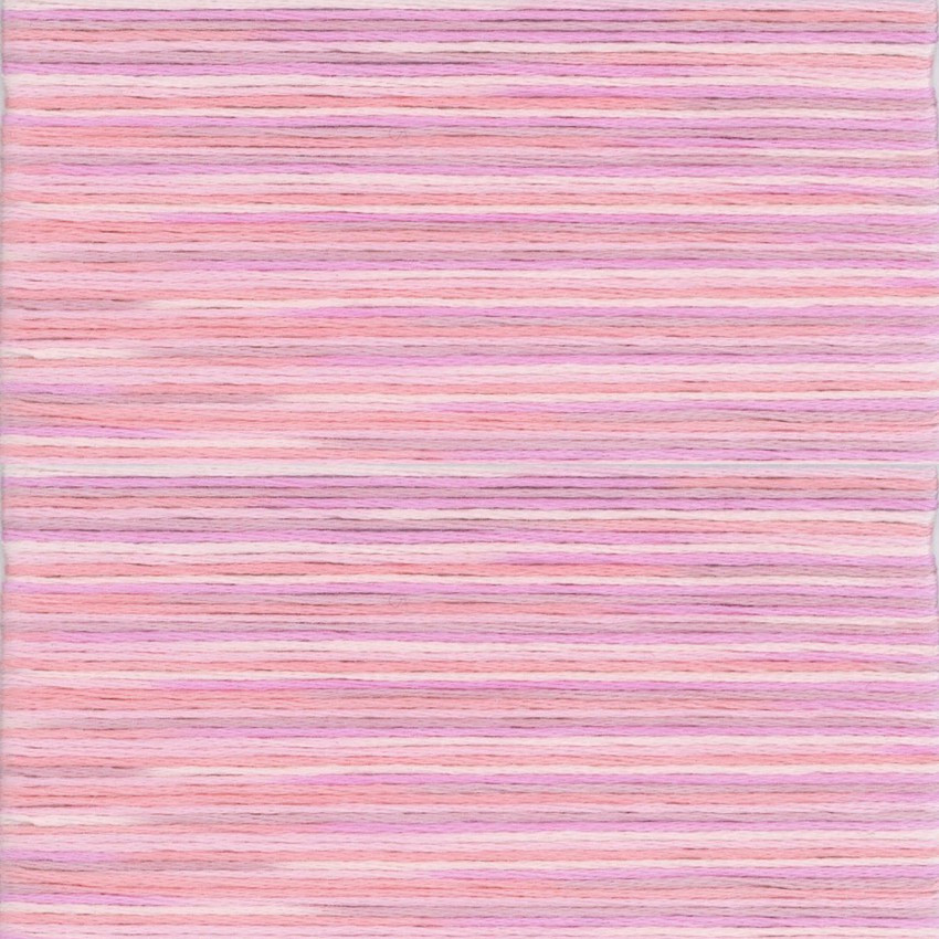 Cosmo Seasons Embroidery Floss 5001