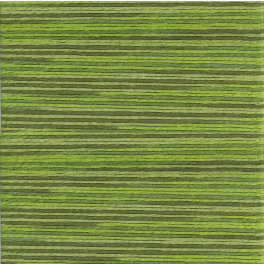 Cosmo Seasons Embroidery Floss 5014