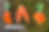 Thumbnail: Two-Legged Carrot
