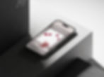 Iphone14Pro_Mockup01_MicroVolume.jpg