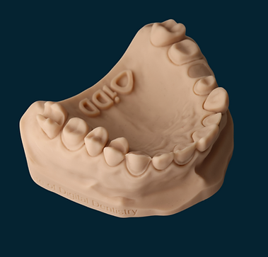 3d printed model