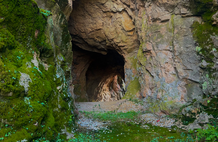 Lessons from the mountains 