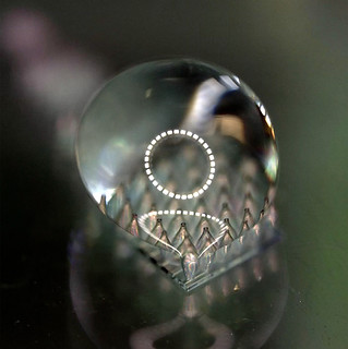 Malica Schmidt's research, including the Nature-Inspired, Multifunctional Surfaces (NIMFS)