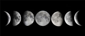 4-Step Beginner's Guide for a New Moon Ritual