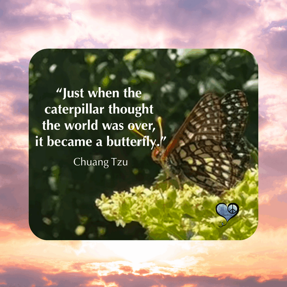Photo of butterfly with caption: "“Just when the caterpillar thought the world was over, it became a butterfly.”