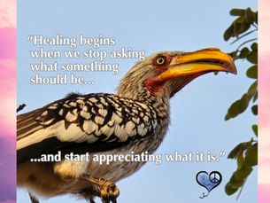 Grateful for What Is Completely Itself