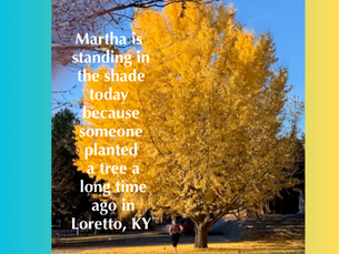 Grateful for Trees: The Deep Roots of Life and Connection on Arbor Day
