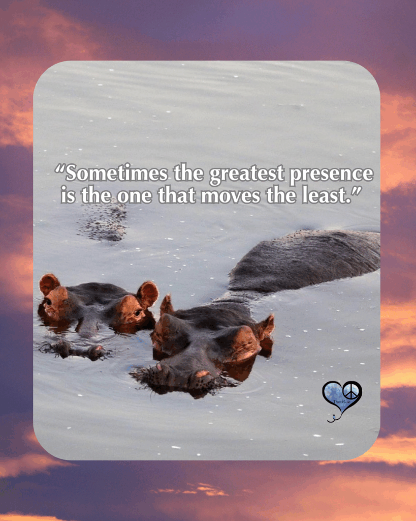 Photo of submerged hippos with caption: “Sometimes the greatest presence is the one that moves the least.”