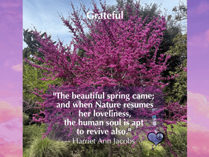 Grateful for New Beginnings – A Lesson from the Cherry Blossom
