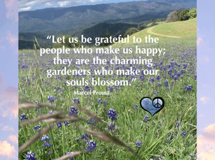 Gratitude for Wild Blooming Beauty