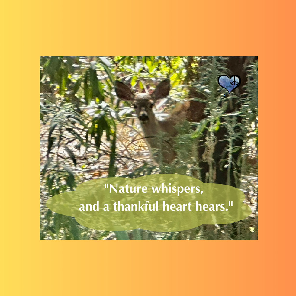 Photo of baby deer with caption "Nature whispers, and a thankful heart hears."