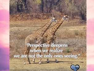 Grateful for the Perspective We Share
