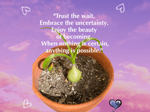 Grateful for Patience – A Lesson from the Bulb