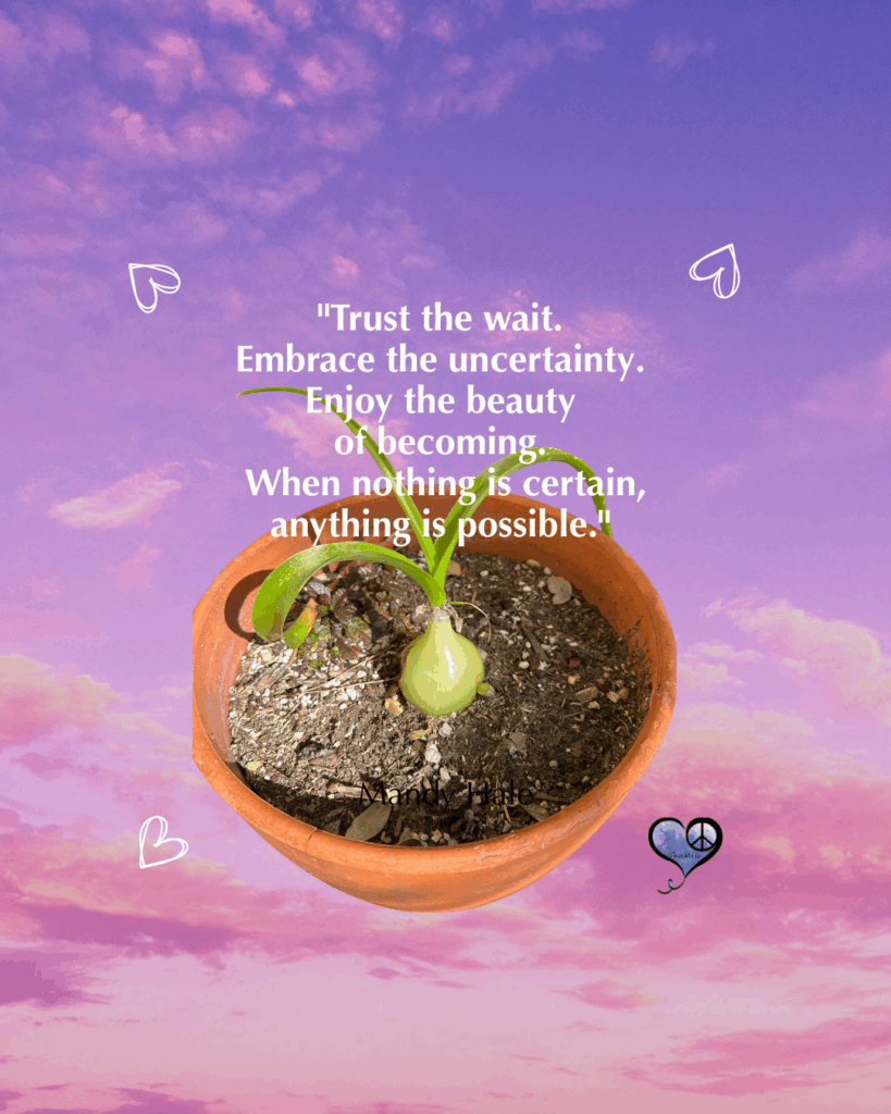 Photo of bulb in pot and caption: ""Trust the wait. Embrace the uncertainty. Enjoy the beauty of becoming. When nothing is certain, anything is possible." Mandy Hale