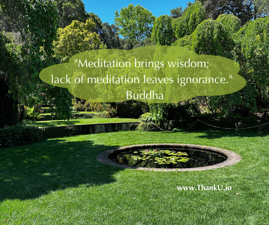 Photo of meditation pond with quote "Meditation brings wisdom; Lack of meditation leaves ignorance." Buddha