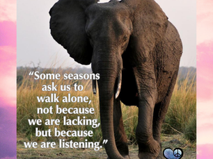 Grateful for Solitude That Is Sacred