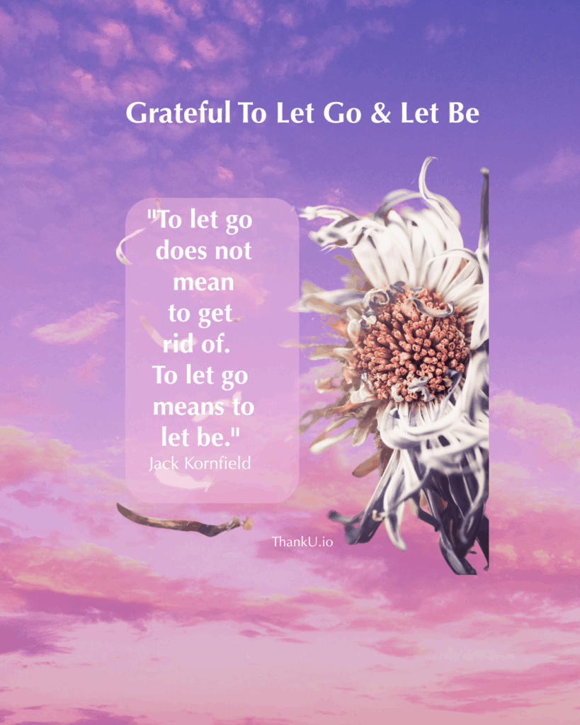 Photo of flower petals with saying: "To let go does not mean to get rid of. To let go means to let be." — Jack Kornfield