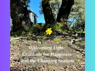 Welcoming Light: Gratitude for Happiness and the Changing Seasons