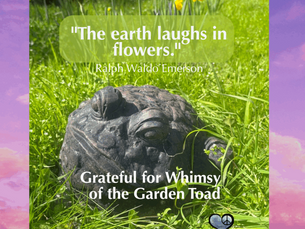 Grateful for Whimsy – A Lesson from the Garden Toad