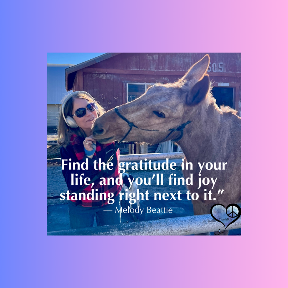 Photo of girl with mule and caption "Find the gratitude in your life, and you’ll find joy standing right next to it.”