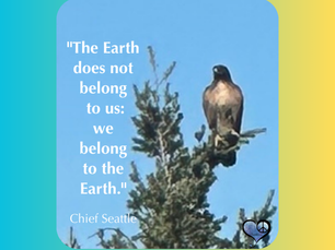Gratitude for the Earth: Honoring the Planet That Sustains Us