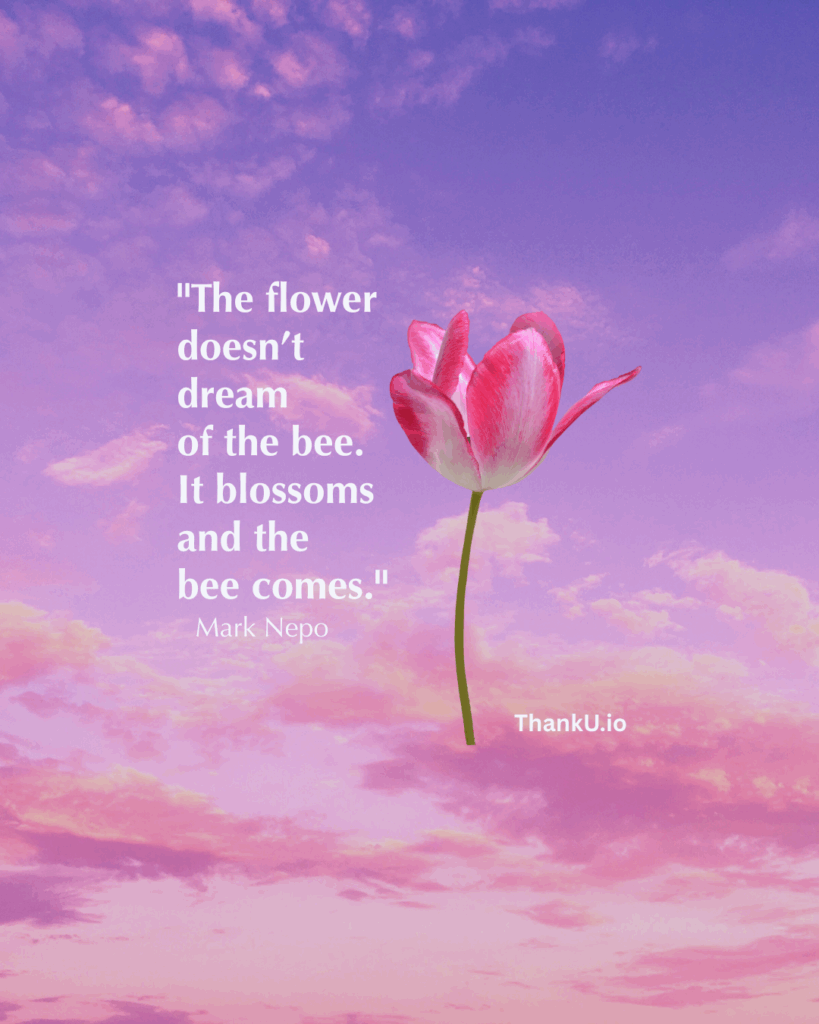 Photo of single tulip with caption: "The flower doesn’t dream of the bee. It blossoms and the bee comes." — Mark Nepo
