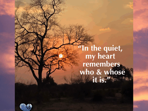 Gratitude for Silence and Soul