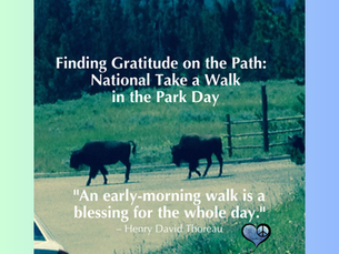 Grateful for Every Step: The Healing Power of a Walk in the Park