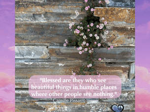 🌼 Grateful for the Unexpected – A Lesson from the Wildflower