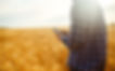 AdobeStock_280869788.jpeg