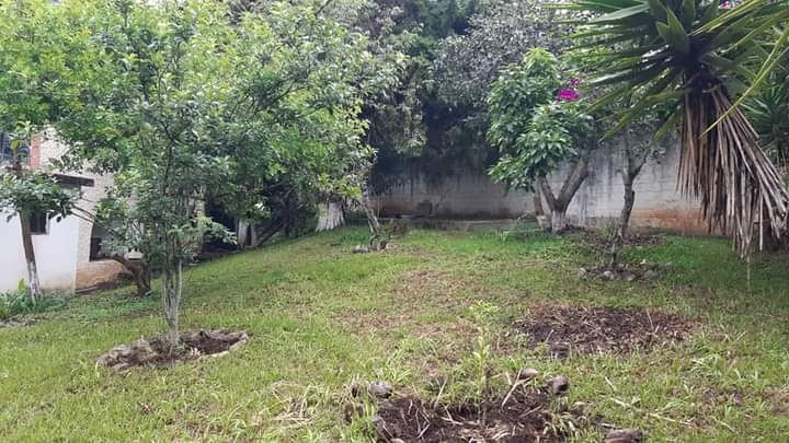 Miniatura: ➡️ VENDO TERRENO CON TRES CASAS DE 7000 M2 EN LO DE COY MIXCO ZONA 1 CADA M2 Q.5