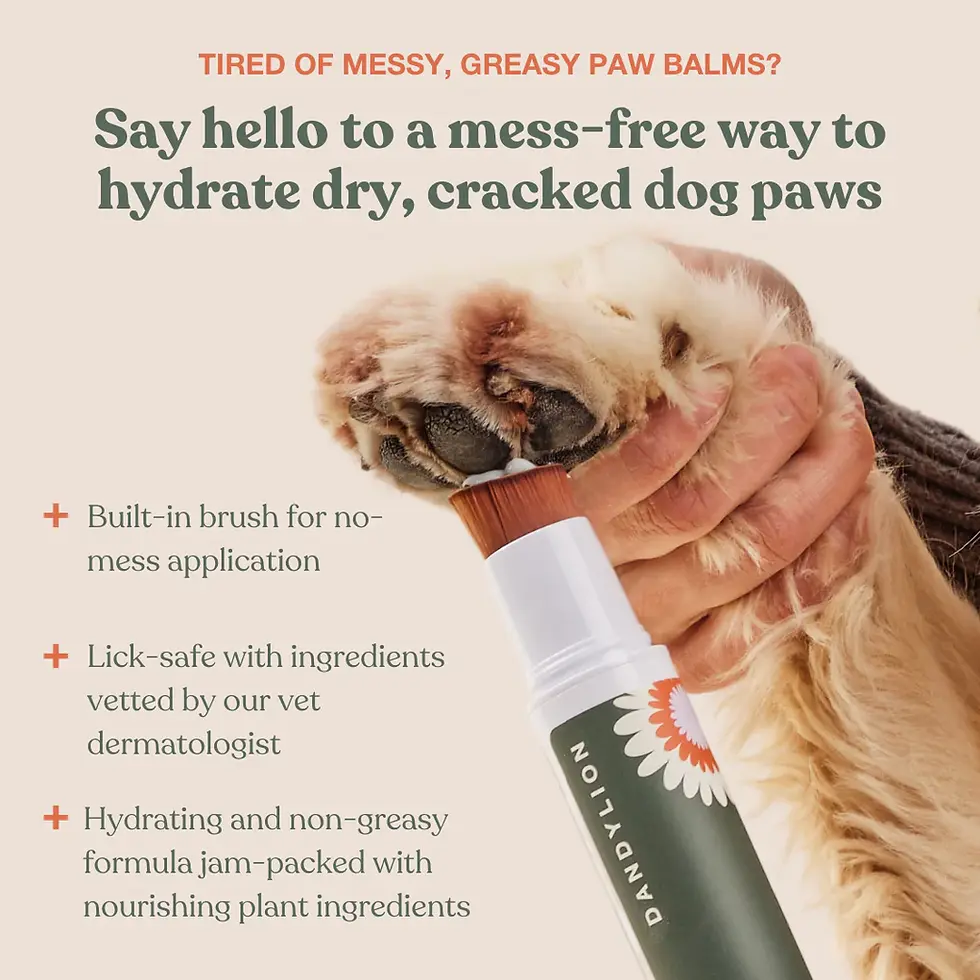 HOW TO KEEP YOUR DOG FRESH AS THE WEATHER WARMS UP