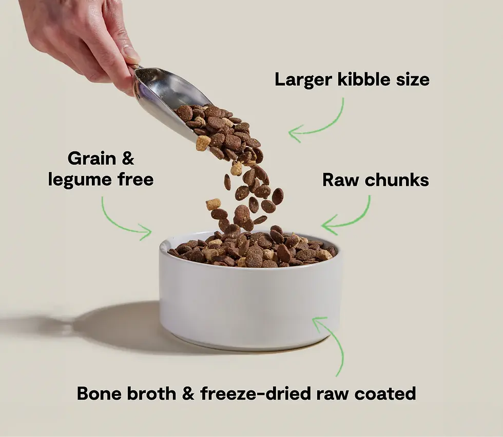 RawMix Large Breed Grain-Free Dog Kibble | Casapooch