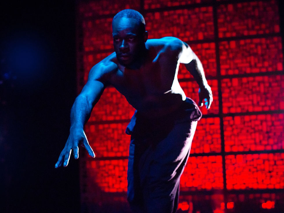 Zoetic Stage - MLIMA'S TALE 1 (Pictured - Jerel Brown. Photo - Justin Namon.) copy.jpeg