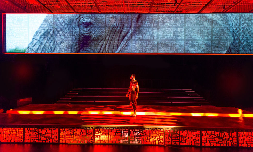 Zoetic Stage - MLIMA'S TALE 8 (Pictured - Jerel Brown. Photo - Justin Namon.) copy.jpeg